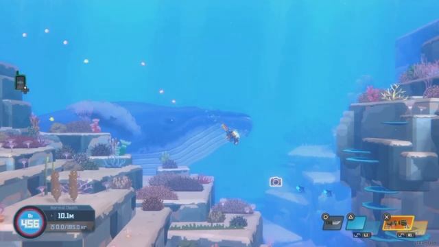 DAVE THE DIVER Фото китов если не успели в первый раз!!!