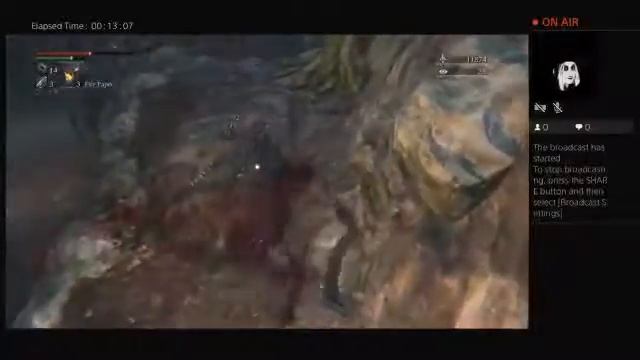 Bloodborne 25+ insight