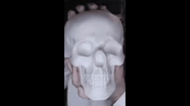 badtothebone.mp4