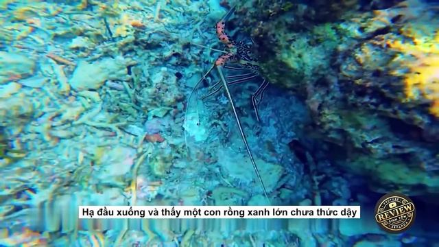 Review Sinh Tồn: Người Đàn Ông Liều Mạng Ra Hòn Đảo Núi Lửa Thử Thách Sống Sót Hơn 10 Ngày