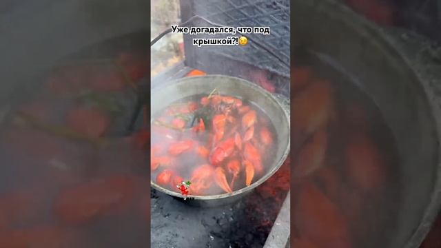 ЧТО ПОД КРЫШКОЙ?!😉 #food #еда #ракиоки #раки #живыераки #вареныераки