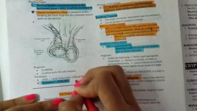 How to Effectively Study || 4 Tips to Memorize a lot of Information || Study Hacks