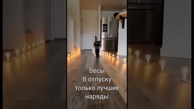 Узнали себя?) #shorts #павелгрозный