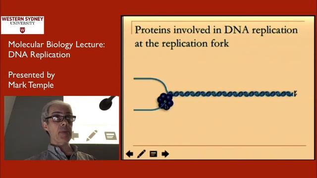 Live Lecture 01 DNA replication