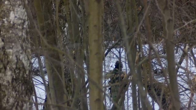 Пси-Хи Естественный отбор 2   30 03 2019