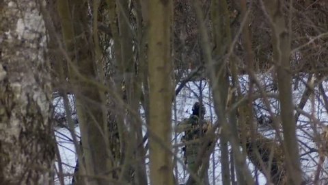 Пси-Хи Естественный отбор 2 30 03 2019