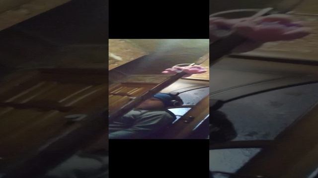 VID_20241114_131036.mp4