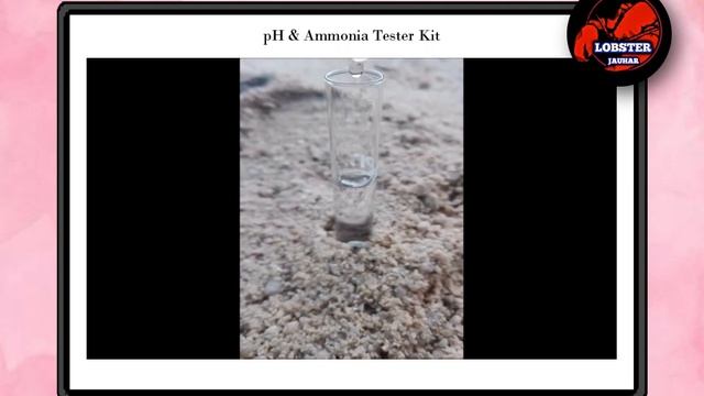 pH & Ammonia Tester Kit Finished