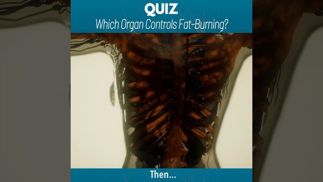 LivPure  #fatburning #weightlosstips #fatburners #weightlosspills #science #weightlosssupplements