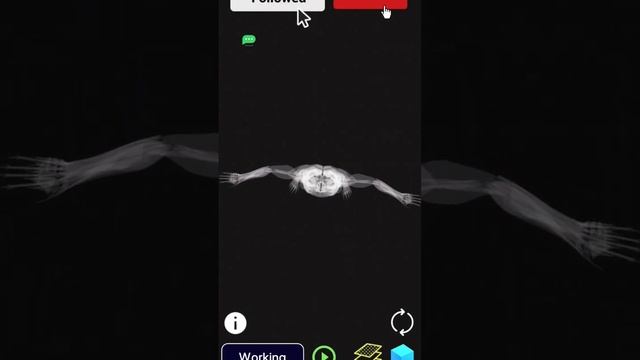 human body 3D model @IndianGamers.69