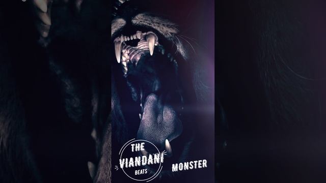 VIANDANI Beats - MONSTER