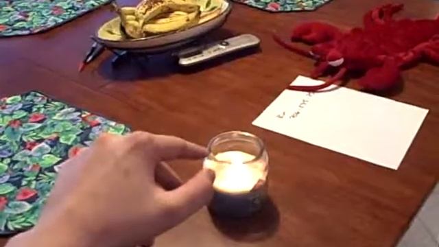 Working with Plasmids: Lighting a Candle