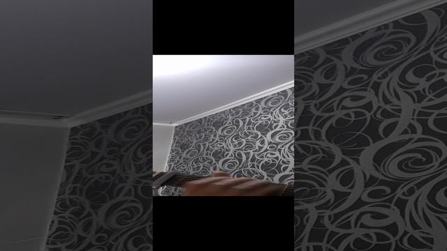 20230309_110445.mp4