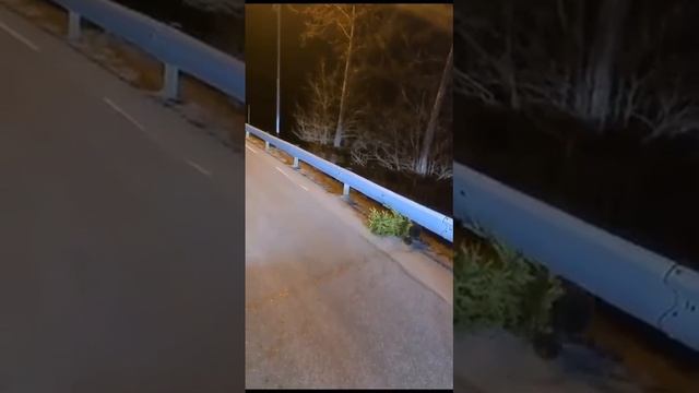 Скоро Новый год