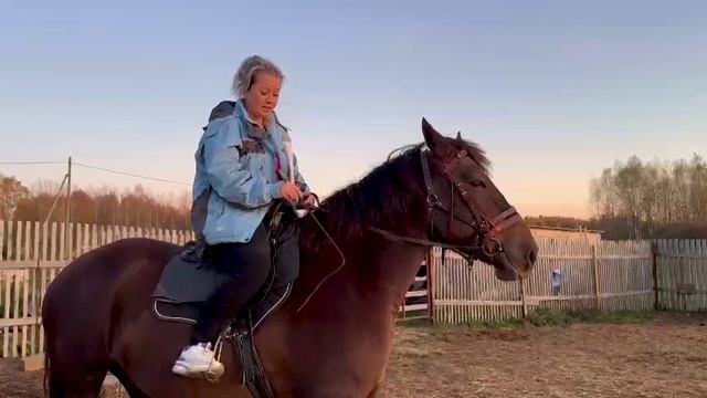 Заездка лошади.Онлайн ученики Horse Familу.Нина и Роза