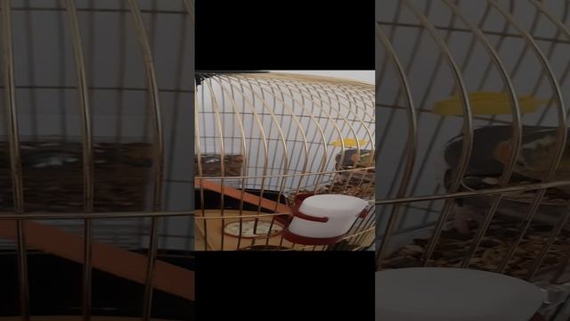 1000249263.mp4