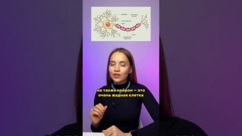 Как отличить аксон и дендрит?!🤔 #parta #биология #биологияогэ #огэ #огэ2024 #подготовкакогэ