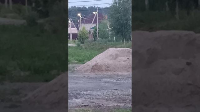 Сима_и_Эва[1]