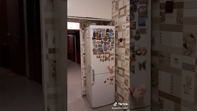 1000008734.mp4