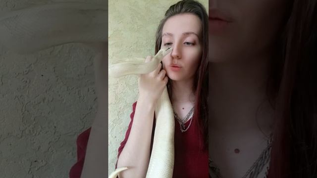 love💝 #рекомендации #рептилии #reels #змея #эублефар #animal #snake #reptile #pet #рептилия