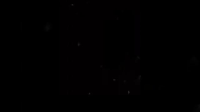 1000015600.mp4