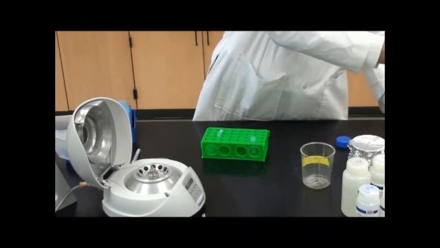 Bio 377 GFP Cloning Step 4-Cleaning