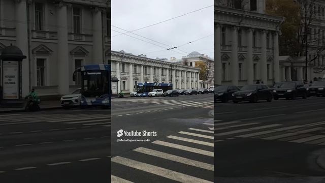 Санкт-Петербург. 14.11.2024. Дворец творчества юных, вид с Аничкова моста