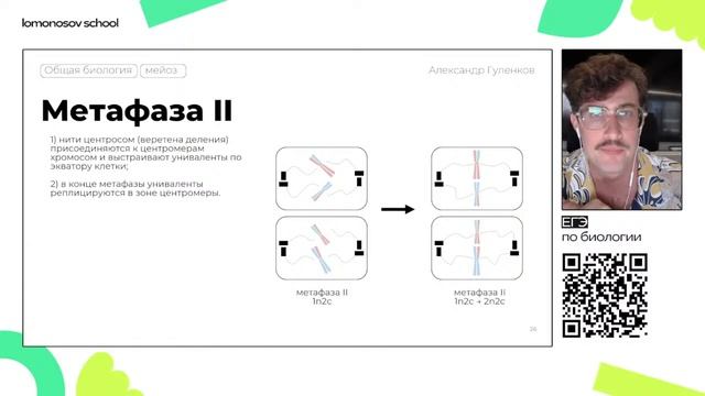 Тайны ГАМЕТОГЕНЕЗА | ЕГЭ по Биологии