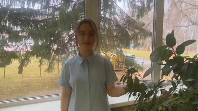 "Сказка о рыбаке и рыбке на школьный лад"
9"А" класс МБОУ СОШ № 12 г. Бердска НСО