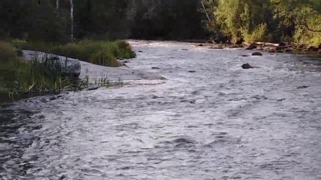 Красивые места дикой природы. 🌍