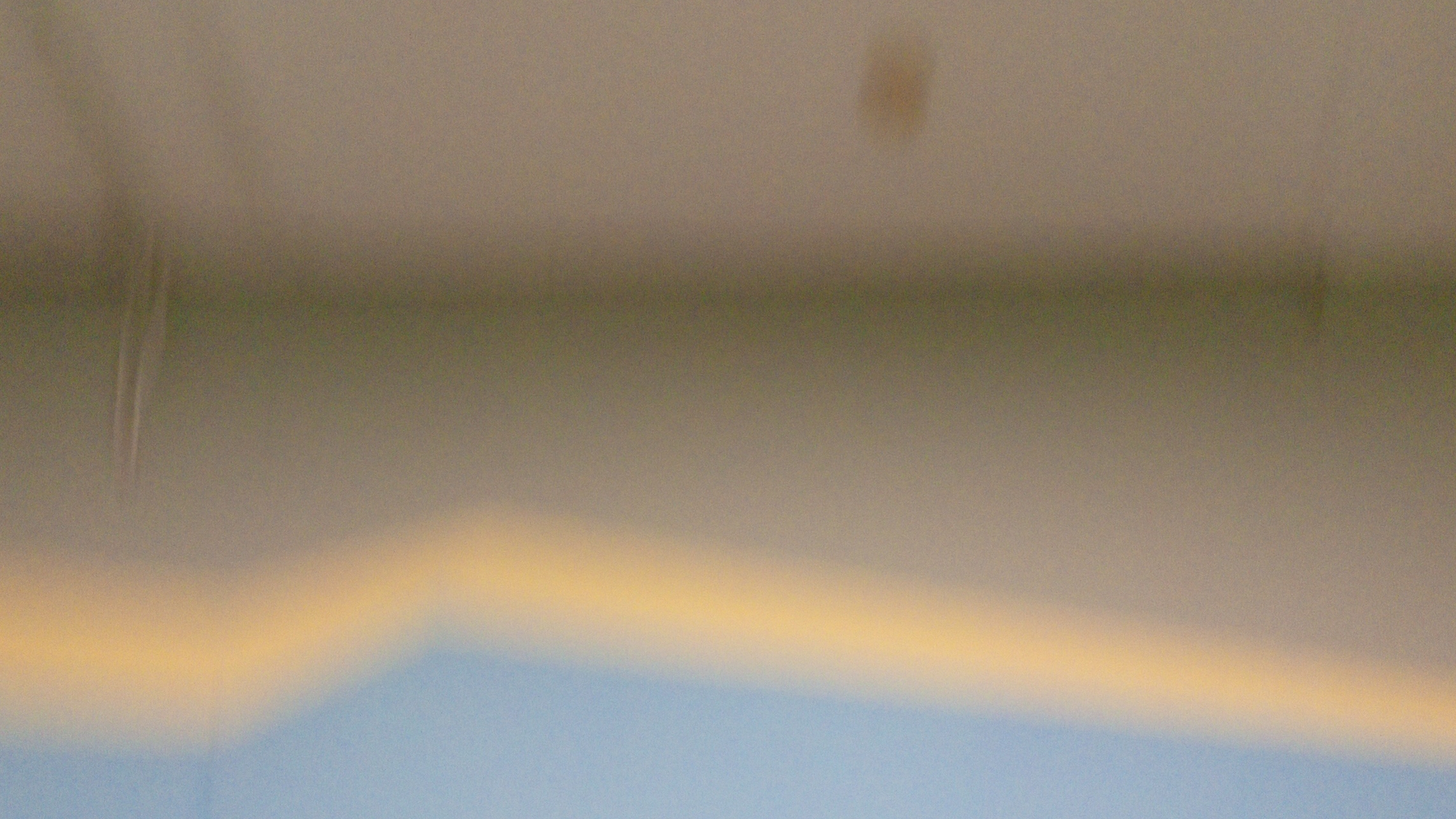 таба хомяк прилип к потолку 🤣