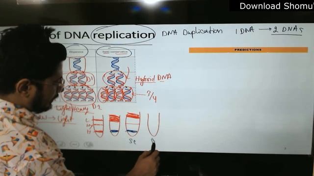 Meselson and Stahl experiment | Semiconservative model of DNA replication