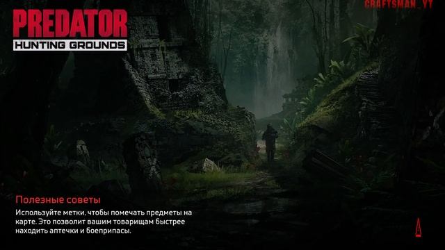 🔴Stream! Patch 2.50 Predator Hunting Grounds | Let's kill predators 24.04.2024 High Graphics set