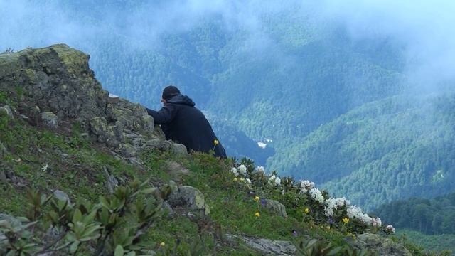 В горах начался пик цветения рододендронов