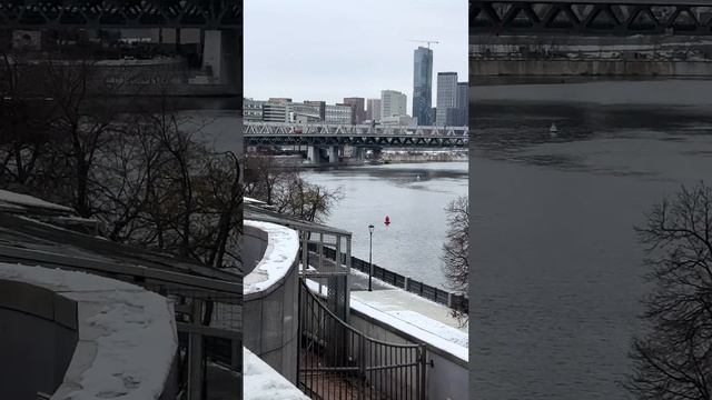 Современная Москва такого никогда нет….  #тимофей на выставку приехал