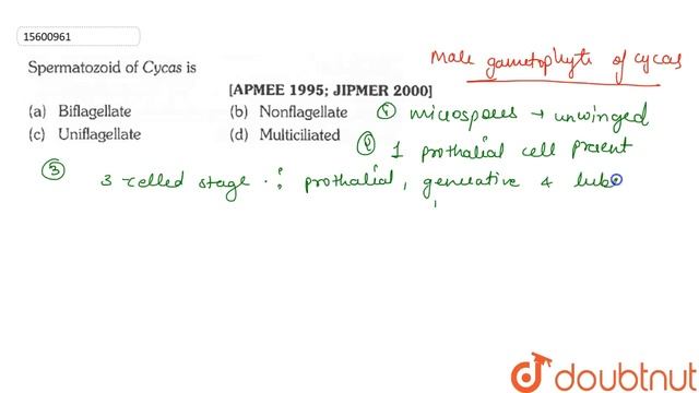 Spermatozoid of Cycas is