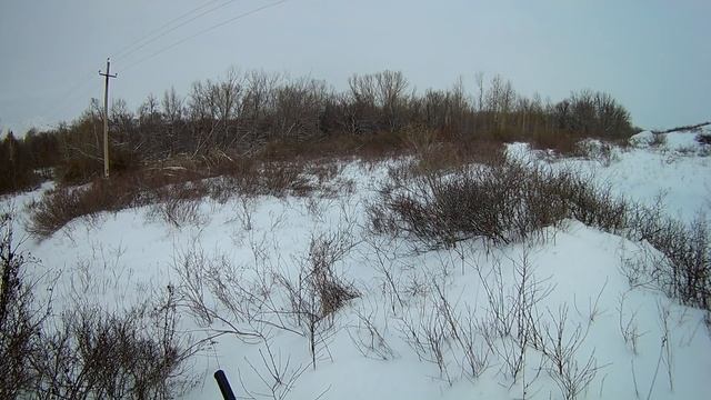 Охота на зайца.Плохой вратарь или как я зайца промазал!/Bad goalkeeper or how I missed a hare!