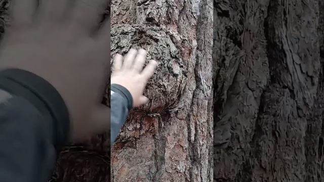scene_output.mp4