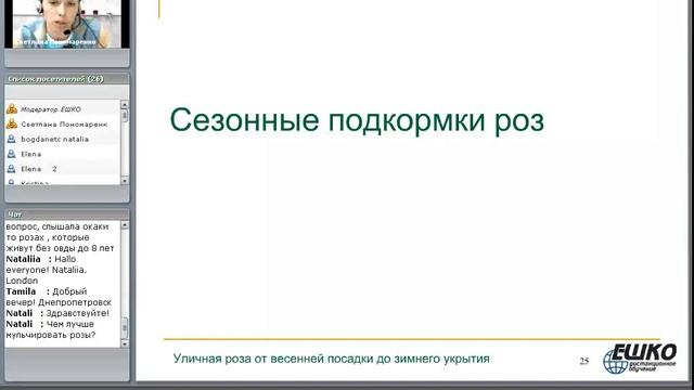 Уличная роза от весенней посадки до зимнего укрытия