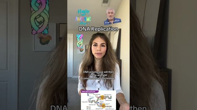 DNA replication in 1 minute #biology
