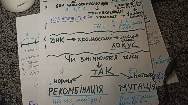 Ген. Геном. Хромосоми. Біологія. (продовження)
