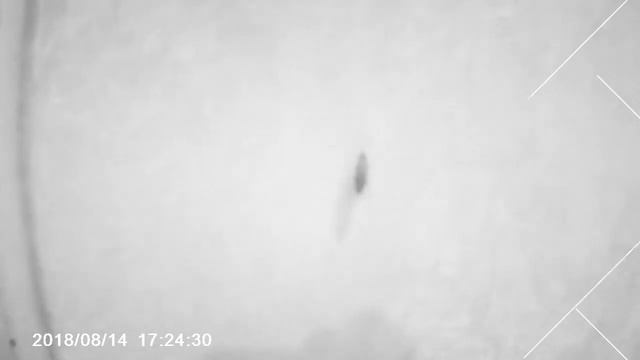 QUIK 20181205 184730