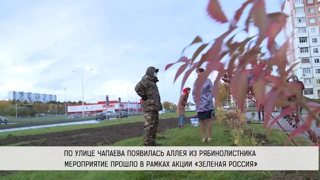 Озеленение Нижневартовска