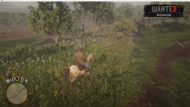 Red dead redemption 2. Ambushed.