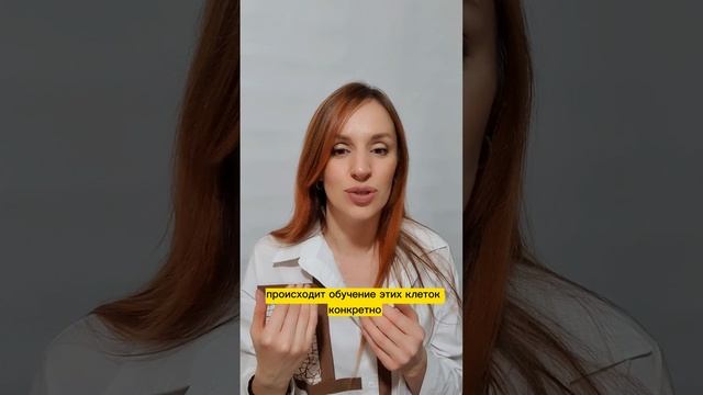 Иммунитет  и кишечник. Какая связь?