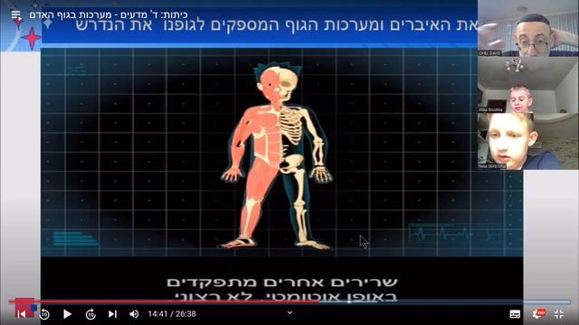מערכת הקיבה | системы человеческого организма