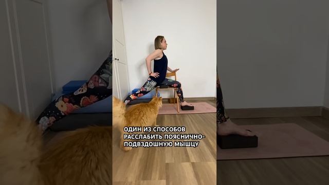 #йога #поясница #расслабление