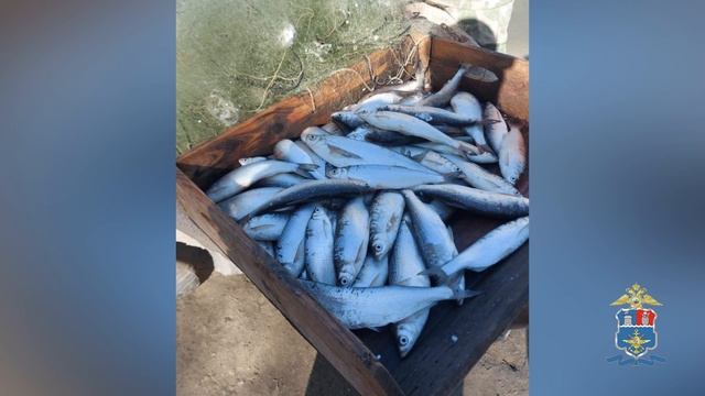 В Волгоградской области пресечена незаконная добыча водных биологических ресурсов