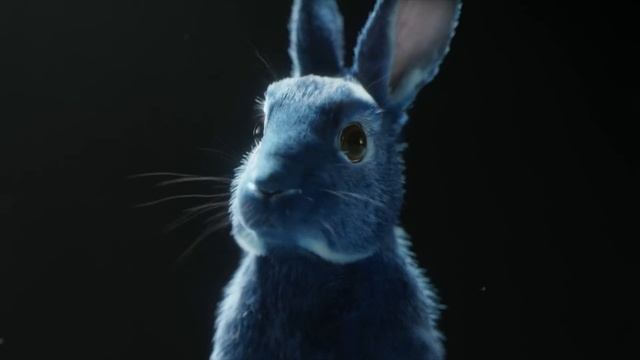 O2 - Follow the Rabbit