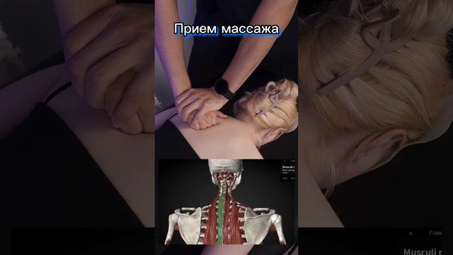 Болит спина, болевые точки, массаж